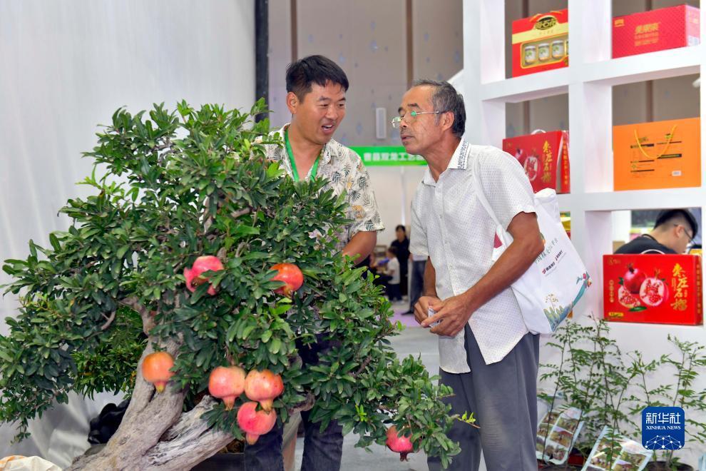 博中手机网投